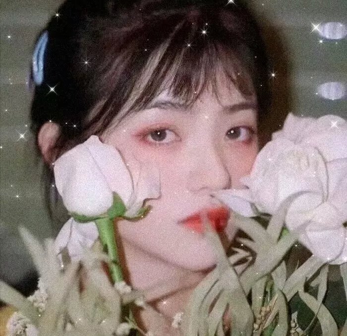 开篇封面