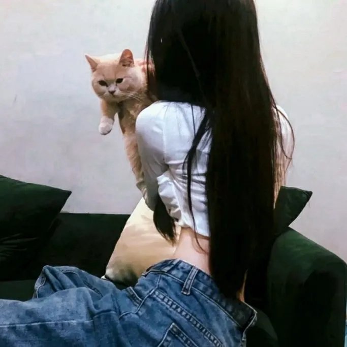 孔雀王朝封面